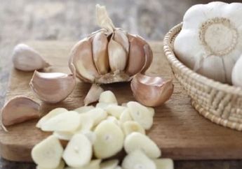 Mengejutkan! Inilah Manfaat Bawang Putih yang Belum Diketahui, Bisa Bikin Badan Makin Yahud nih!