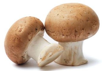 Ternyata Ini Dia Manfaat Jamur yang Perlu Kamu Tahu, No 4 Setara Jogging