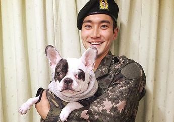 Ternyata Siwon Juga Pernah Digigit Anjing Peliharaannya Loh, Begini Kronologinya!