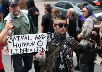 Punk bukan Sekedar Aliran Musik, Inilah 5 Nilai Luhur yang Terkandung di Dalamnya