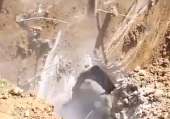 Lagi Menggali Lubang, Para Pekerja Ini Temukan Makhluk Hidup Didalamnya