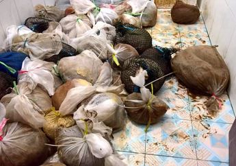 Polisi Mendengar Teriakan dari Kantong Plastik Ini, Ternyata Temuan Mereka Bikin Ngeri