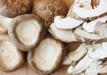Jamur Shitake Resep Panjang Umur buat Kamu, Iya Kamu...