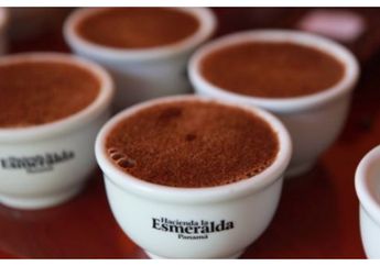 Bentuknya Sih Biasa, Tapi Ternyata Harga Segelas Kopi Ini Bisa Untuk Bayar Kuliah