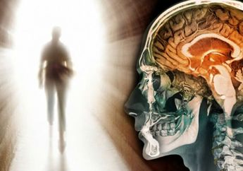 Inilah yang Terjadi Pada Otak Manusia Sesaat Setelah Mati, Hii Serem!