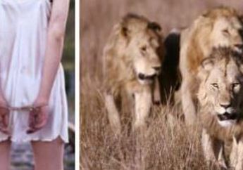 Gadis 12 Tahun Diculik Oleh 7 Orang Pria, Kemudian Singa Datang Mengelilinginya, Ini yang Terjadi