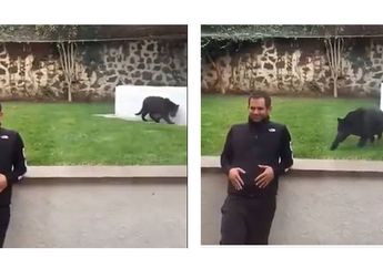 Sibuk Berfoto Selfie, Pria Ini Tak Sadar Dibelakangnya Ada Seekor Macan Kumbang Yang Siap Menerkamnya