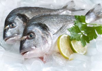 Dampak Konsumsi Ikan saat Kehamilan, Bisa Bikin Anak Jadi Begini nih, wah Kenapa ya?