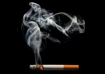 Waspada, Rupanya Ini Bahaya Rokok Bagi Usus, loh kok Bisa?