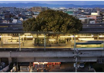 Setiap Orang yang Berusaha Menebangnya Selalu Alami Hal Mengerikan, Pohon 700 Tahun Ini Kini Ada di Tengah Stasiun!