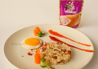 Pria Ini Buat Nasi Goreng dengan Makanan Kucing Kemasan! Netizen: Aman Nggak tuh?
