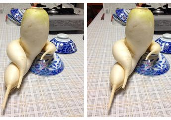 Sayur Mayur Ini Punya Bentuk Alami Mirip Manusia, Jadi Lucu Atau Ngeri ya?