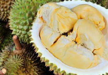 Terkuak! Ini Rahasia Bau Durian yang Kamu Belum Tahu