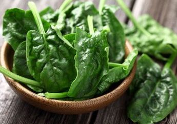 Makan Salad Bayam Kemasan Nggak Sehat, Bener Nggak sih?