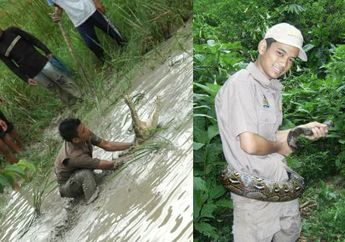 Diisukan Meninggal Dunia, Ternyata Panji Sang Petualang Masih Hidup, Tak Disangka Ini Profesinya Sekarang