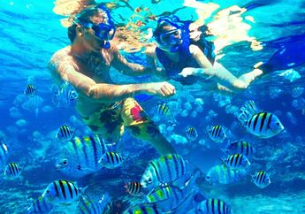 Indahnya Pulau Suwarnadwipa, pulau emas di Sumatera Barat yang masih alami