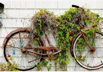 Apik dan Klasik, Ide Kreatif Sulap Sepeda Bekas Jadi Hiasan Rumah, yuk Intip!