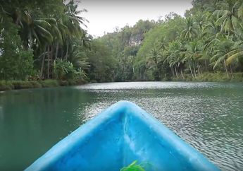 Indonesia Punya Kembaran Sungai Amazon, Ada di Mana Ya?