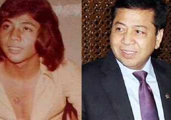 Inilah 40 Fakta Jejak Setyo Novanto, Sebelum Menjadi Buron