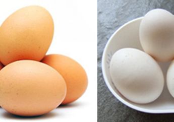 Inilah 7 Makanan Penghancur Lemak,  Nomor Empat Sangat Mengejutkan