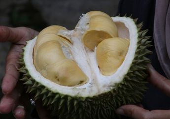 Musim Durian nih, Benarkah Durian Bisa Meningkatkan Libido?