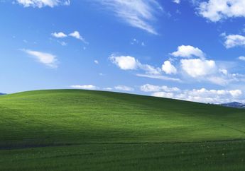 Sudah Tua Renta, Inilah Sosok Dibalik Wallpaper Komputer Windows XP