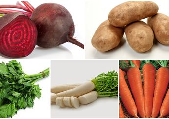 Jus Sehat si Pemberi Harapan Sehat Kanker Serviks, Mudah Kok Bikinnya