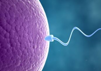 3 Hal yang Perlu Diketahui Wanita Tentang Fertilitas, No 3 Baru Tahu tuh!
