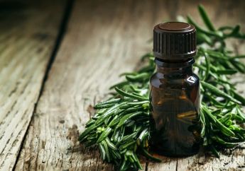 Wajib Tahu! Ini 3 Manfaat Tea Tree Oil Bagi Kecantikan Wajah dan Rambut