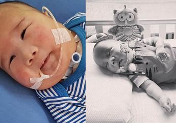 Gini Detik-detik Terakhir Perjuangan Adam Fabumi Sebelum Ajal Menjemput: Ia Tersenyum dan Begitu Harum