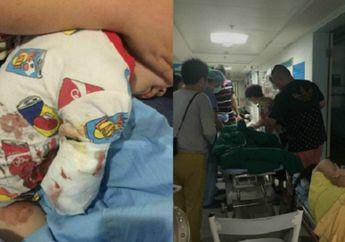 Menjulur Ke luar Jendela Mobil, Lengan Seorang Anak Balita Putus Karena Gigitan Harimau Putih