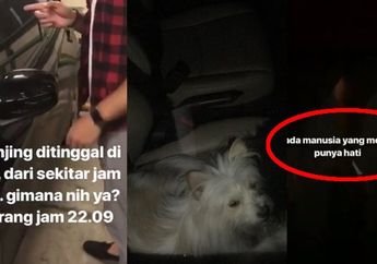 Tega Banget, Pria Ini Nolong Anjing yang Ditinggal di Mobil Selama 8 Jam di Parkiran Grand Indonesia Tapi Respon Sang Pemilik Malah Bikin Geram