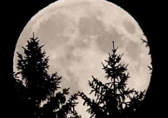 Malam Ini Ada Supermoon, Jam Berapa Ya?