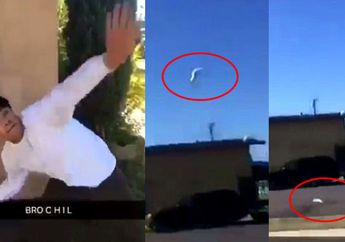 VIDEO: Jeritan Kucing Dilempar Tinggi ke Udara, Tersungkur di Aspal Penuh Luka, Keadilan Harus Ditegakkan!