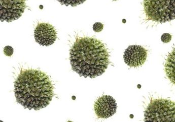 Mungkinkah 'virus zombie' dibuat?