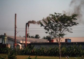 Dalam dosis ringan, gas beracun berguna dalam pengobatan