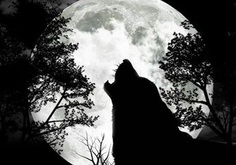 Anjing serigala sungguh-sungguh ada