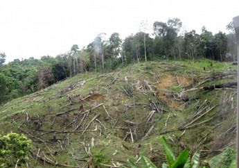 Penghentian sementara penebangan hutan masih belum jelas