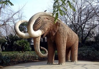 Mammoth mungkin dilahirkan kembali empat tahun mendatang
