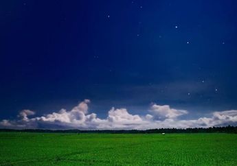 Petani Maroko Belajar di Gunungkidul