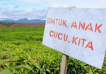 Nikmatnya Teh Kayu Aro di Kaki Gunung Kerinci
