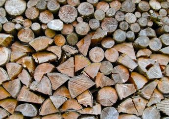 Sertifikasi Kayu Makin Akrab dengan Usaha Hutan
