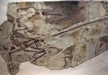 Fosil Dinosaurus Terkecil Ditemukan di Inggris