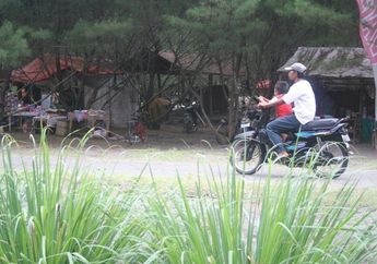 Sukses, Penghijauan di Pantai Gua Cemara