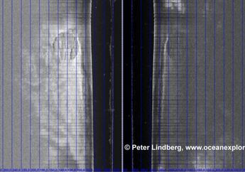 Benda Mirip UFO di Dasar Laut Baltik