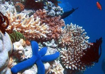 Isu Rio+20: Swasta Berperan dalam Lingkungan Berkelanjutan