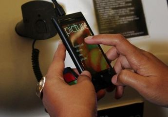 Tinggi, Level Adopsi OS Windows Phone 8.1