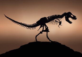 Penemuan Telur dan Tulang Dinosaurus Secara Bersamaan