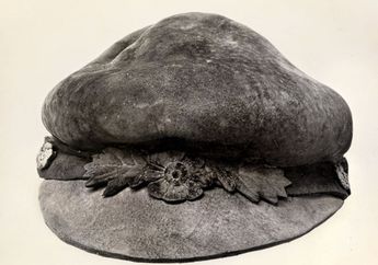 Topi Jamur
