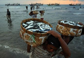 Pentingnya Praktik Perikanan Berkelanjutan untuk Kembalikan Sumberdaya Laut